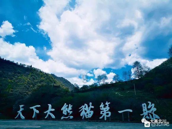 《云顶之弈》s10赛季裁决薇古丝阵容攻略推荐