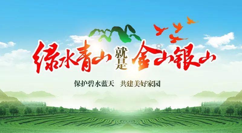 重庆中心城区下雪了！南岸南山上已经白茫茫一片