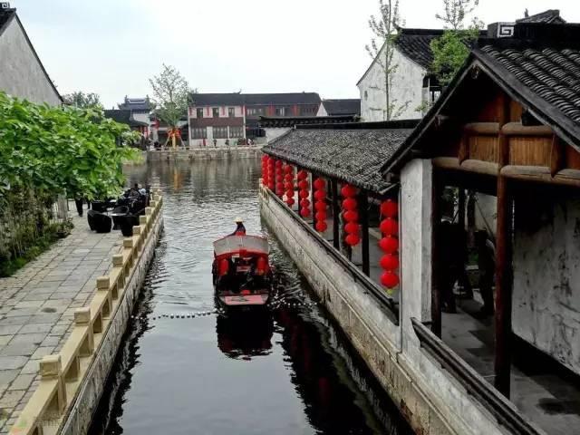 《乐童音乐家》成长故事:在蒙古度过童年,没钱只能上家庭学校
